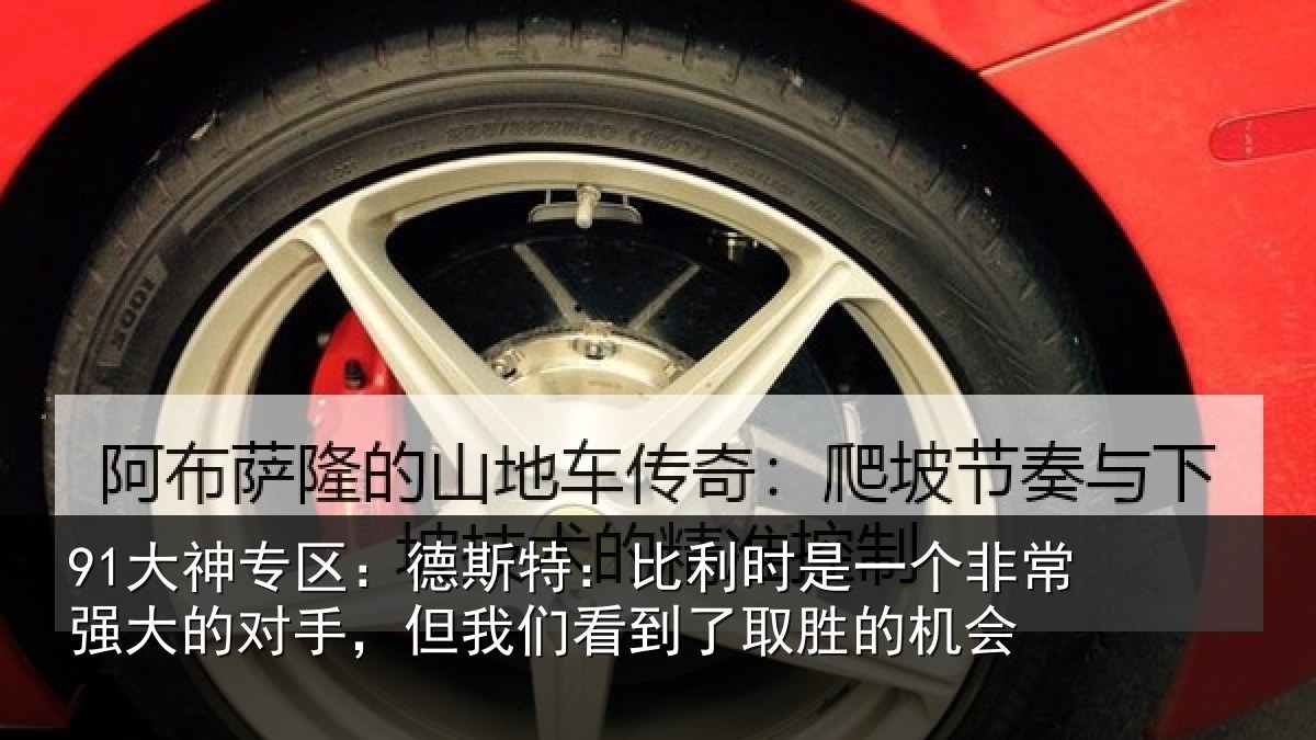 91大神专区：德斯特：比利时是一个非常强大的对手，但我们看到了取胜的机会