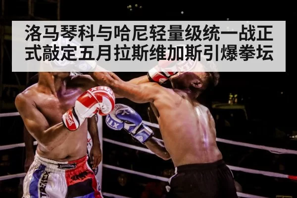 洛马琴科与哈尼轻量级统一战正式敲定五月拉斯维加斯引爆拳坛
