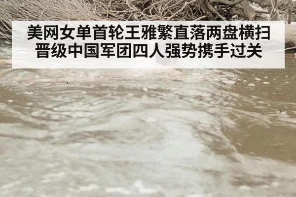 美网女单首轮王雅繁直落两盘横扫晋级中国军团四人强势携手过关
