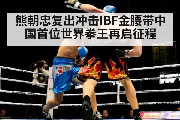 熊朝忠复出冲击IBF金腰带中国首位世界拳王再启征程